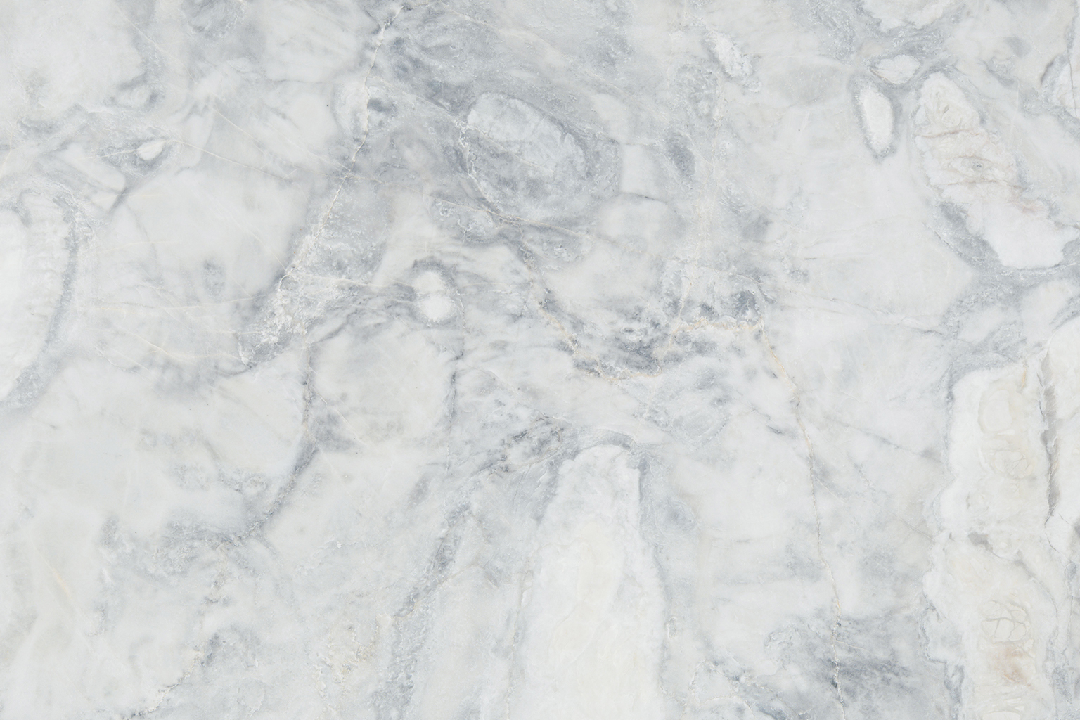 Oyster White