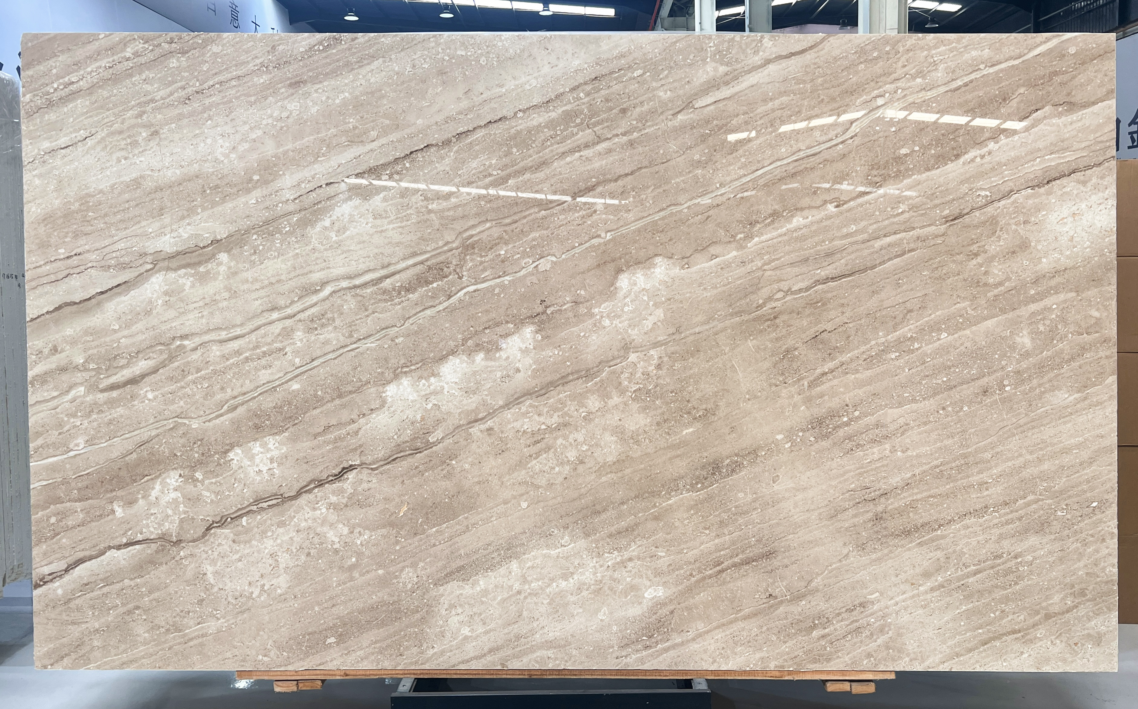Dino Beige — view 2