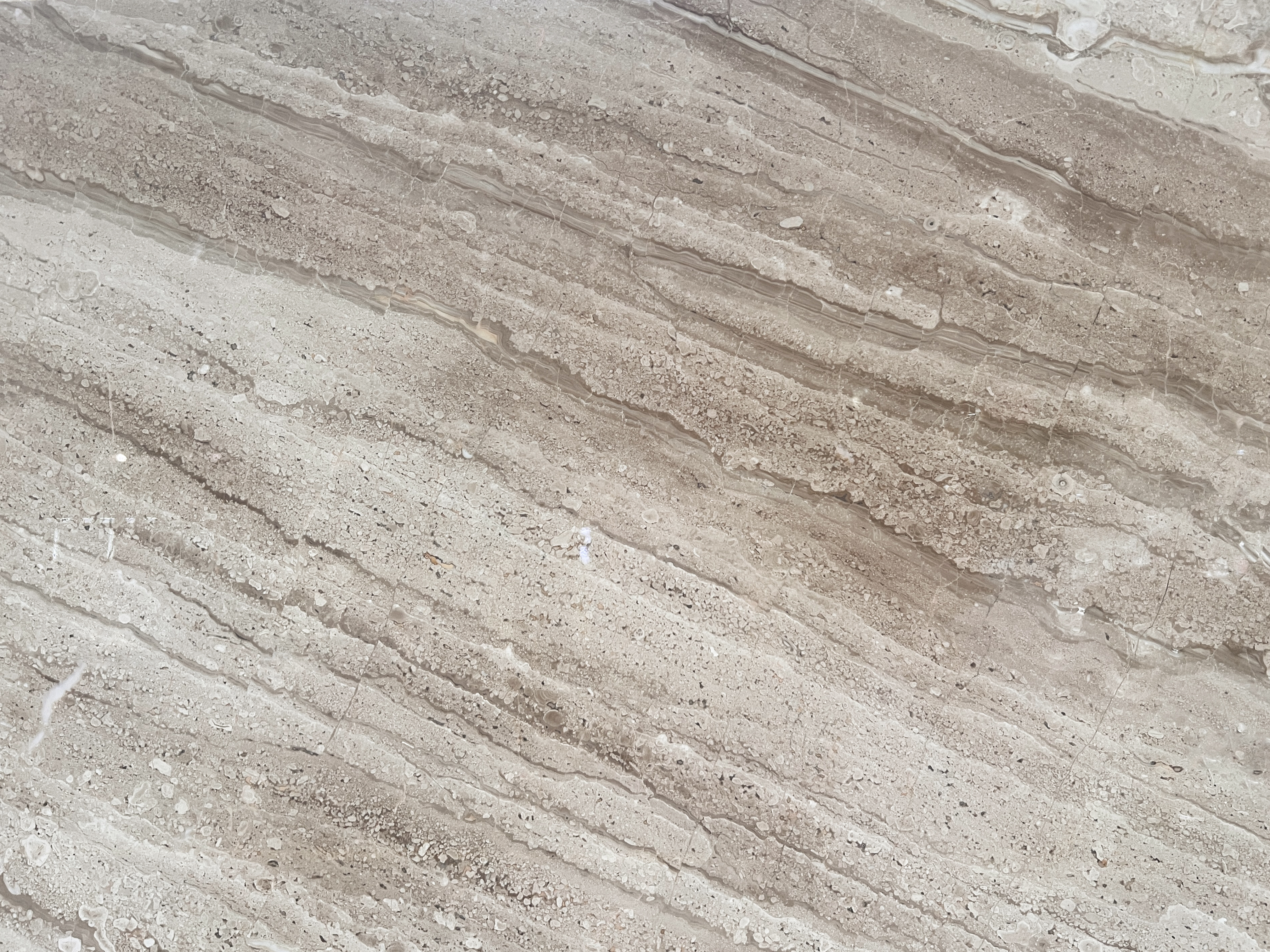 Dino Beige