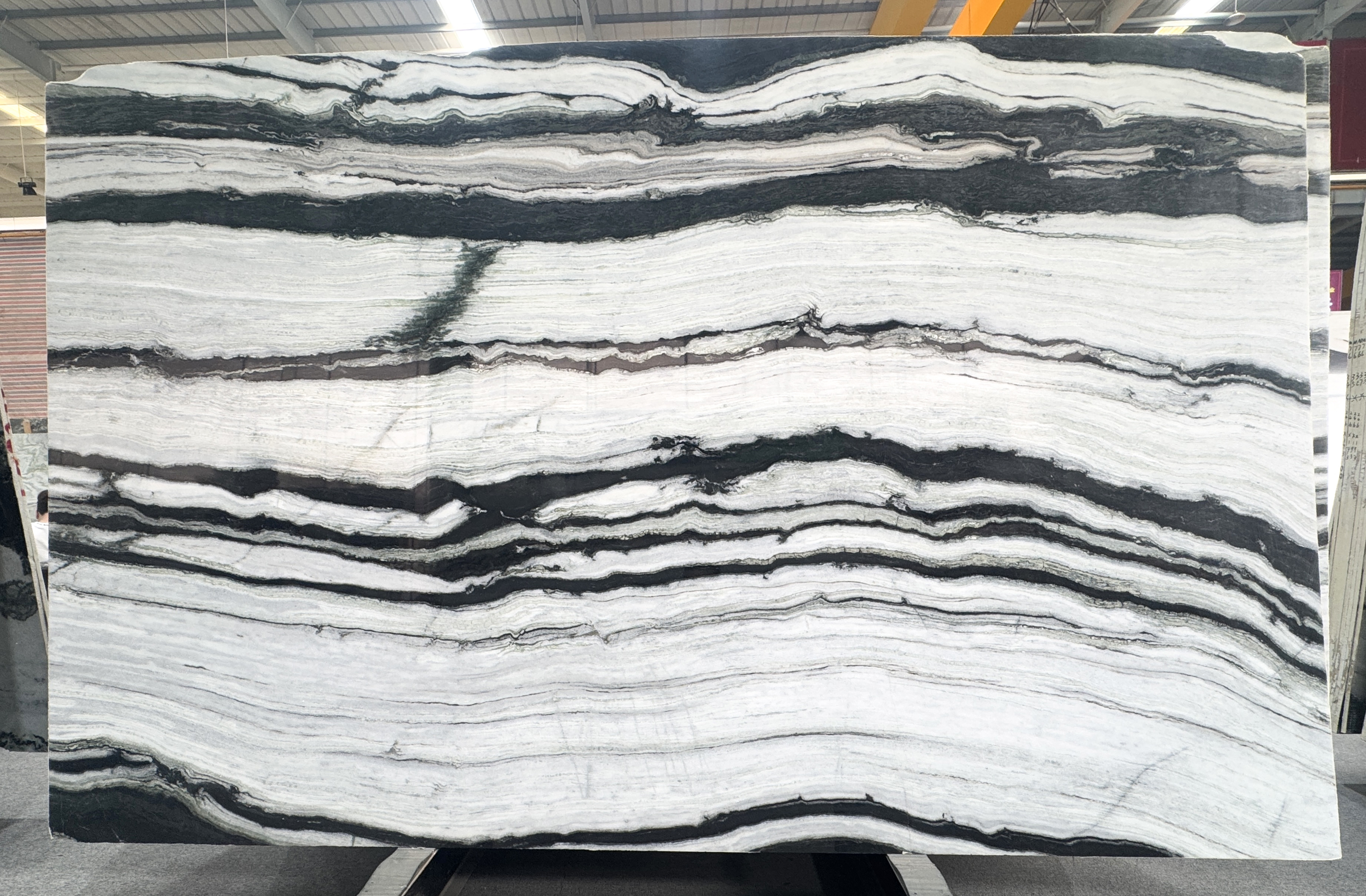 Panda White — view 2
